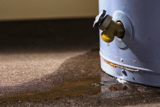 Best Flooded house restoration  in Dixon, KY