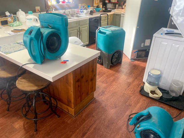 Best 24/7 water damage repair  in Dixon, KY