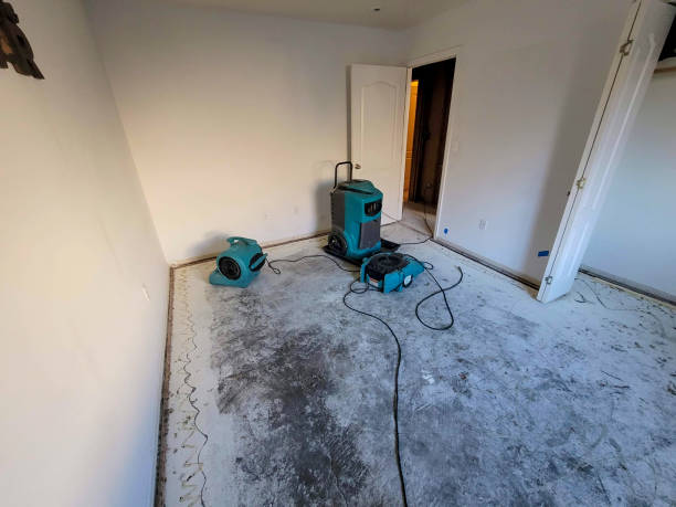 Best Local water damage restoration  in Dixon, KY