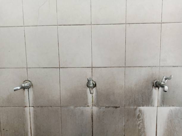 Best Carpet water damage restoration  in Dixon, KY