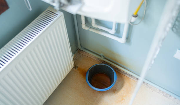Best Sewage cleanup and water damage restoration  in Dixon, KY