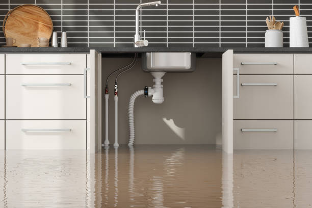 Best Water damage restoration mold remediation  in Dixon, KY