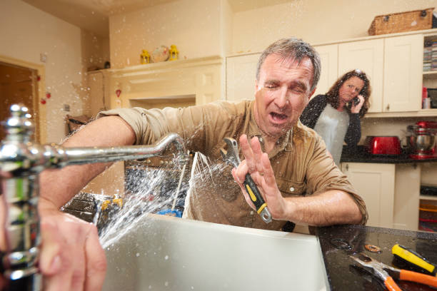 Best Flooded house restoration  in Dixon, KY